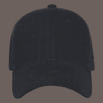 OTTO CAP 6 Panel Low Profile Baseball Cap
