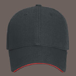OTTO CAP 6 Panel Low Profile Baseball Cap