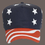 OTTO CAP 5 Panel Mid Profile Baseball Cap